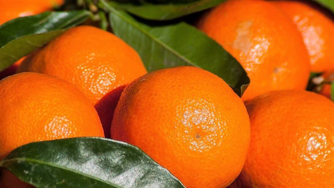 mandarina-cítricos|Anecoop-Green-Fruits